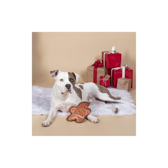 Gingerbread Girl Plush Dog Toy - PetShop by Fringe Studio - Picture 2 of 5